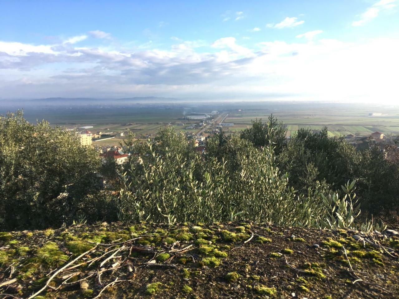 Hotel Nature Kolonje Экстерьер фото